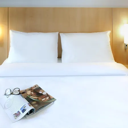 Ibis Sued